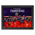 RCB Champion Posters Virat Kohli Poster